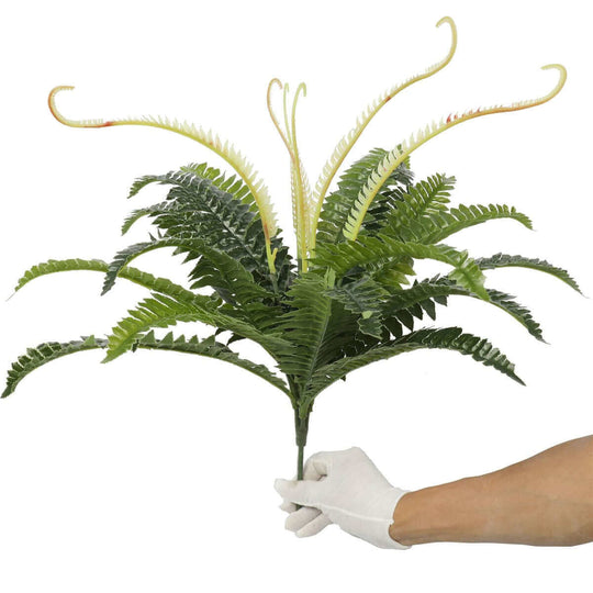 DSZ Product, feed-cond-new, feed-sl-DSZ Freight Payable, newArtificial Dark Green Boston Fern 60Cm - Premium Home & Garden > Artificial Plants > Artifical Flowers & Plants from DSZ ! Shop Online Buy Now at S & D's Value Store Family Business Best Customer ServiceDSZ Product, feed-cond-new, feed-sl-DSZ Freight Payable, new