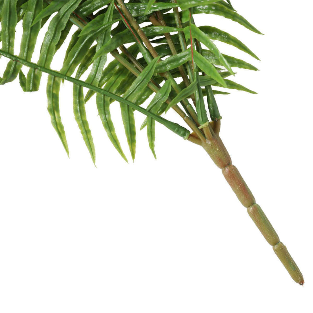 DSZ Product, feed-cond-new, feed-sl-DSZ Freight Payable, newArtificial Fern (Lady Fern) 50Cm Uv Resistant - Premium Home & Garden > Artificial Plants > Artifical Flowers & Plants from DSZ ! Shop Online Buy Now at S & D's Value Store Family Business Best Customer ServiceDSZ Product, feed-cond-new, feed-sl-DSZ Freight Payable, new