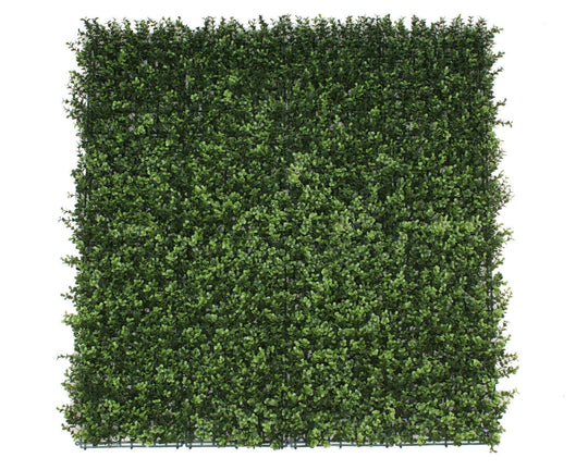 DSZ Product, feed-cond-new, feed-sl-DSZ Freight Payable, newPremium Natural Buxus Hedge Panels Uv Resistant 1M X 1M - Premium Outdoor Recreation > Camping > Caravan Accessories from DSZ ! Shop Online Buy Now at S & D's Value Store Family Business Best Customer ServiceDSZ Product, feed-cond-new, feed-sl-DSZ Freight Payable, new