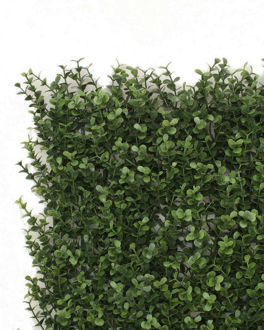 DSZ Product, feed-cond-new, feed-sl-DSZ Freight Payable, newPremium Natural Buxus Hedge Panels Uv Resistant 1M X 1M - Premium Outdoor Recreation > Camping > Caravan Accessories from DSZ ! Shop Online Buy Now at S & D's Value Store Family Business Best Customer ServiceDSZ Product, feed-cond-new, feed-sl-DSZ Freight Payable, new