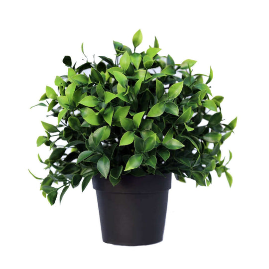 DSZ Product, feed-cond-new, feed-sl-DSZ Freight Payable, newSmall Potted Artificial Jasmine Plant Uv Resistant 20Cm - Premium Home & Garden > Artificial Plants > Artifical Flowers & Plants from DSZ ! Shop Online Buy Now at S & D's Value Store Family Business Best Customer ServiceDSZ Product, feed-cond-new, feed-sl-DSZ Freight Payable, new