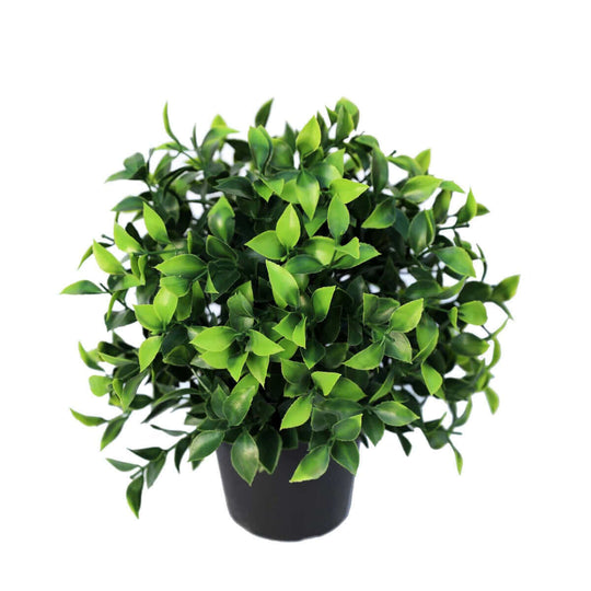 DSZ Product, feed-cond-new, feed-sl-DSZ Freight Payable, newSmall Potted Artificial Jasmine Plant Uv Resistant 20Cm - Premium Home & Garden > Artificial Plants > Artifical Flowers & Plants from DSZ ! Shop Online Buy Now at S & D's Value Store Family Business Best Customer ServiceDSZ Product, feed-cond-new, feed-sl-DSZ Freight Payable, new