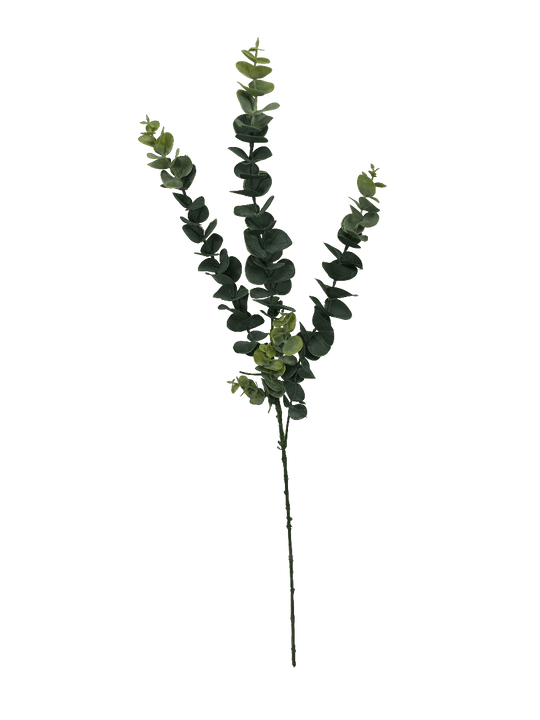 DSZ Product, feed-cond-new, feed-sl-DSZ Freight Payable, new5 Pack - Long Eucalyptus Stem 77 Cm - Premium Home & Garden > Artificial Plants > Artifical Flowers & Plants from DSZ ! Shop Online Buy Now at S & D's Value Store Family Business Best Customer ServiceDSZ Product, feed-cond-new, feed-sl-DSZ Freight Payable, new