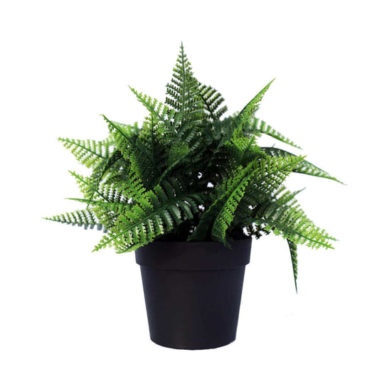 DSZ Product, feed-cond-new, feed-sl-DSZ Freight Payable, newSmall Potted Artificial Persa Boston Fern Plant Uv Resistant 20Cm - Premium Home & Garden > Artificial Plants > Artifical Flowers & Plants from DSZ ! Shop Online Buy Now at S & D's Value Store Family Business Best Customer ServiceDSZ Product, feed-cond-new, feed-sl-DSZ Freight Payable, new