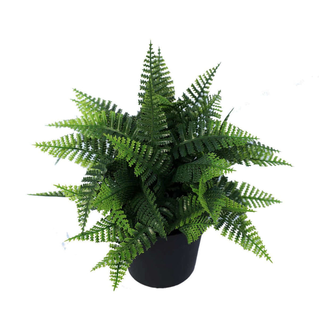 DSZ Product, feed-cond-new, feed-sl-DSZ Freight Payable, newSmall Potted Artificial Persa Boston Fern Plant Uv Resistant 20Cm - Premium Home & Garden > Artificial Plants > Artifical Flowers & Plants from DSZ ! Shop Online Buy Now at S & D's Value Store Family Business Best Customer ServiceDSZ Product, feed-cond-new, feed-sl-DSZ Freight Payable, new