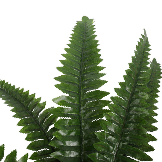 DSZ Product, feed-cond-new, feed-sl-DSZ Freight Payable, newArtificial Potted Natural Green Boston Fern (50Cm High 70Cm Wide) - Premium Home & Garden > Artificial Plants > Artifical Flowers & Plants from DSZ ! Shop Online Buy Now at S & D's Value Store Family Business Best Customer ServiceDSZ Product, feed-cond-new, feed-sl-DSZ Freight Payable, new