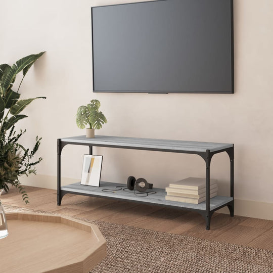 TV Cabinet Grey Sonoma 100x33x41 cm Engineered Wood and Steel