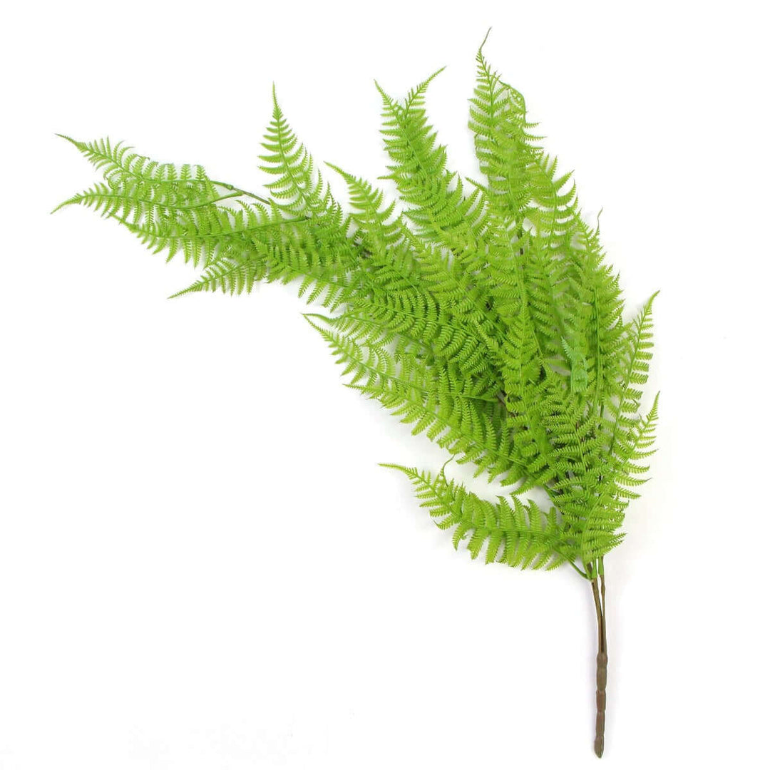 DSZ Product, feed-cond-new, feed-sl-DSZ Freight Payable, newHanging Fresh Green Boston Fern Uv Resistant 80Cm - Premium Home & Garden > Artificial Plants > Artifical Flowers & Plants from DSZ ! Shop Online Buy Now at S & D's Value Store Family Business Best Customer ServiceDSZ Product, feed-cond-new, feed-sl-DSZ Freight Payable, new