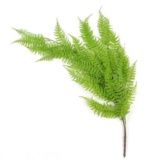 DSZ Product, feed-cond-new, feed-sl-DSZ Freight Payable, newHanging Fresh Green Boston Fern Uv Resistant 80Cm - Premium Home & Garden > Artificial Plants > Artifical Flowers & Plants from DSZ ! Shop Online Buy Now at S & D's Value Store Family Business Best Customer ServiceDSZ Product, feed-cond-new, feed-sl-DSZ Freight Payable, new