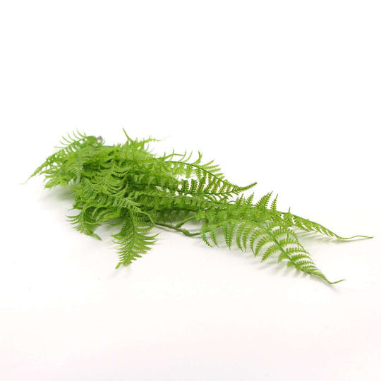 DSZ Product, feed-cond-new, feed-sl-DSZ Freight Payable, newHanging Fresh Green Boston Fern Uv Resistant 80Cm - Premium Home & Garden > Artificial Plants > Artifical Flowers & Plants from DSZ ! Shop Online Buy Now at S & D's Value Store Family Business Best Customer ServiceDSZ Product, feed-cond-new, feed-sl-DSZ Freight Payable, new