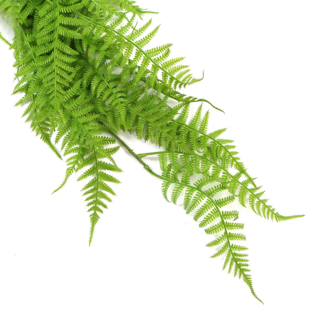 DSZ Product, feed-cond-new, feed-sl-DSZ Freight Payable, newHanging Fresh Green Boston Fern Uv Resistant 80Cm - Premium Home & Garden > Artificial Plants > Artifical Flowers & Plants from DSZ ! Shop Online Buy Now at S & D's Value Store Family Business Best Customer ServiceDSZ Product, feed-cond-new, feed-sl-DSZ Freight Payable, new