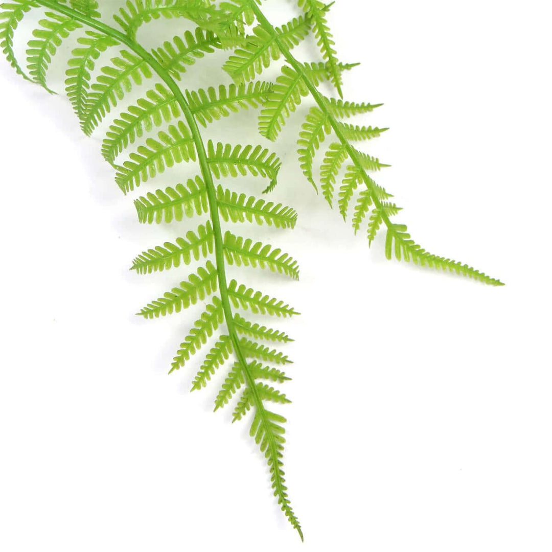 DSZ Product, feed-cond-new, feed-sl-DSZ Freight Payable, newHanging Fresh Green Boston Fern Uv Resistant 80Cm - Premium Home & Garden > Artificial Plants > Artifical Flowers & Plants from DSZ ! Shop Online Buy Now at S & D's Value Store Family Business Best Customer ServiceDSZ Product, feed-cond-new, feed-sl-DSZ Freight Payable, new