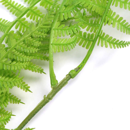 DSZ Product, feed-cond-new, feed-sl-DSZ Freight Payable, newHanging Fresh Green Boston Fern Uv Resistant 80Cm - Premium Home & Garden > Artificial Plants > Artifical Flowers & Plants from DSZ ! Shop Online Buy Now at S & D's Value Store Family Business Best Customer ServiceDSZ Product, feed-cond-new, feed-sl-DSZ Freight Payable, new