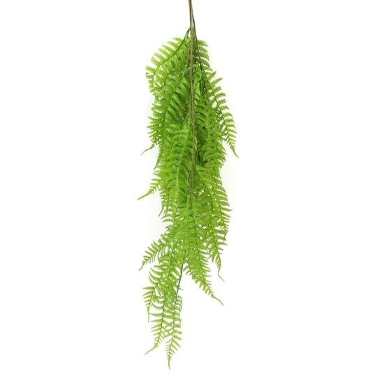 DSZ Product, feed-cond-new, feed-sl-DSZ Freight Payable, newHanging Fresh Green Boston Fern Uv Resistant 80Cm - Premium Home & Garden > Artificial Plants > Artifical Flowers & Plants from DSZ ! Shop Online Buy Now at S & D's Value Store Family Business Best Customer ServiceDSZ Product, feed-cond-new, feed-sl-DSZ Freight Payable, new