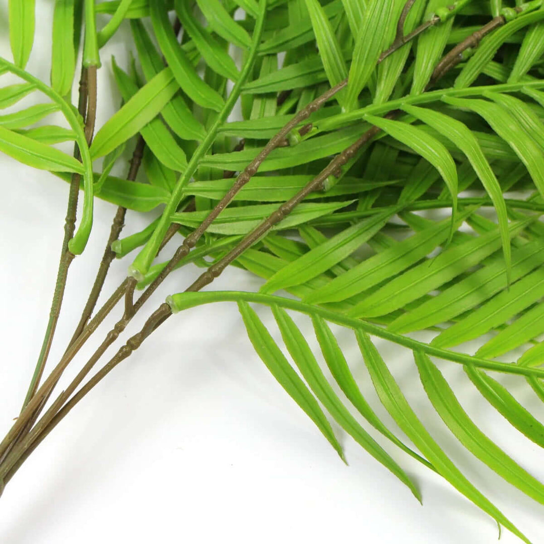 DSZ Product, feed-cond-new, feed-sl-DSZ Freight Payable, newHanging Fresh Green Bamboo Leaf Fern Uv Resistant 80Cm - Premium Home & Garden > Artificial Plants > Artificial Hanging Plants from DSZ ! Shop Online Buy Now at S & D's Value Store Family Business Best Customer ServiceDSZ Product, feed-cond-new, feed-sl-DSZ Freight Payable, new