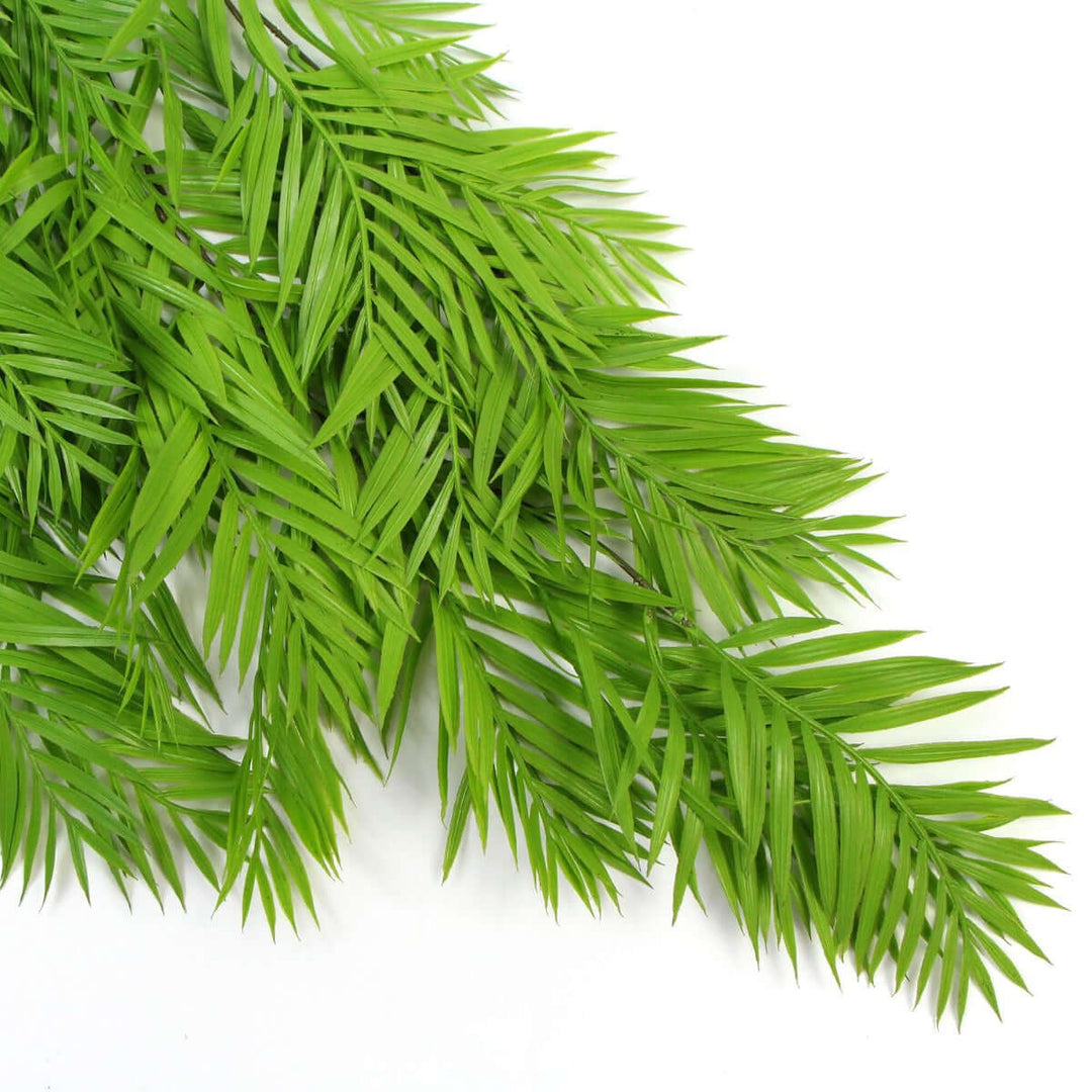 DSZ Product, feed-cond-new, feed-sl-DSZ Freight Payable, newHanging Fresh Green Bamboo Leaf Fern Uv Resistant 80Cm - Premium Home & Garden > Artificial Plants > Artificial Hanging Plants from DSZ ! Shop Online Buy Now at S & D's Value Store Family Business Best Customer ServiceDSZ Product, feed-cond-new, feed-sl-DSZ Freight Payable, new