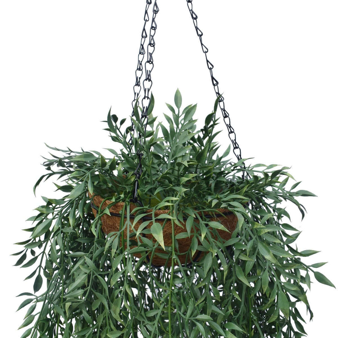 DSZ Product, feed-cond-new, feed-sl-DSZ Freight Payable, newHanging Fern Basket 110 Cm - Premium Home & Garden > Artificial Plants > Artificial Hanging Plants from DSZ ! Shop Online Buy Now at S & D's Value Store Family Business Best Customer ServiceDSZ Product, feed-cond-new, feed-sl-DSZ Freight Payable, new