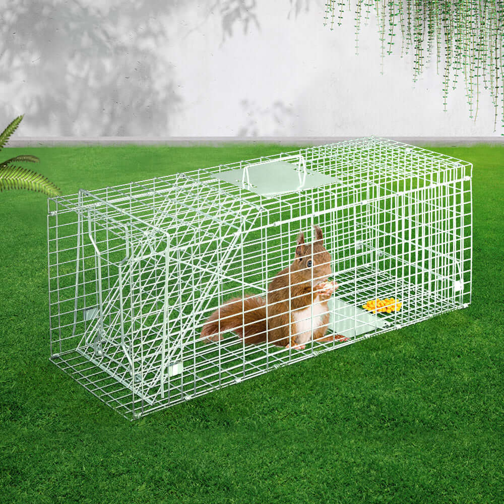 Humane Gardeon Animal Trap Cage for possums, affordable quality, eco-friendly, 79x28cm, spring-loaded door, DIY solution.