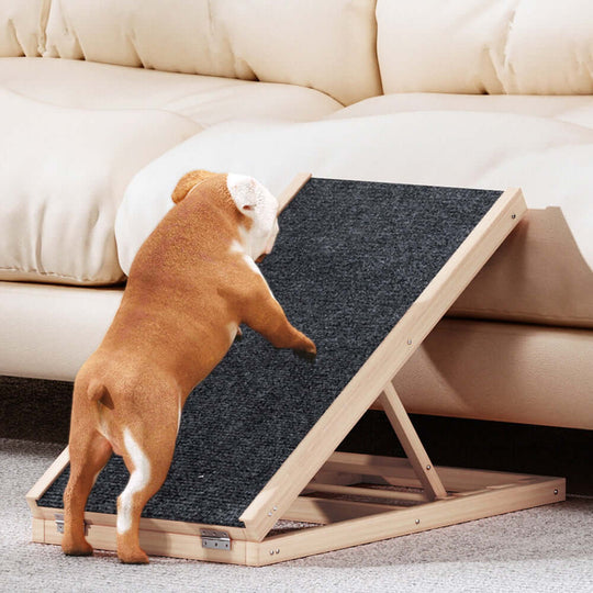 _label_, DSZ Product, feed-cond-new, feed-sl-free shipping, free-shipping, newI.Pet Dog Ramp 70Cm Adjustable Height Wooden Steps Stairs For Bed Sofa Car Foldable - Premium Pet Care > Dog Supplies > Dog Steps & Ramps from I.Pet ! Shop Online Buy Now at S & D's Value Store Family Business Best Customer Service_label_, DSZ Product, feed-cond-new, feed-sl-free shipping, free-shipping, new