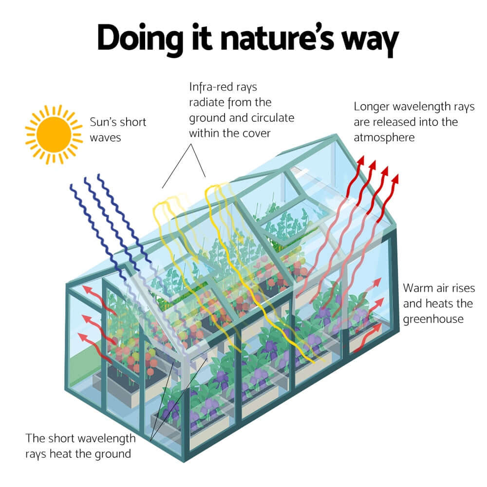 DSZ Product, feed-cond-new, feed-sl-DSZ Freight Payable, newGreenfingers Greenhouse 4.43 X 2.44 X 2.15M Aluminium Polycarbonate Green House Garden Shed - Premium Home & Garden > Greenhouses > Greenhouses & Accessories from Greenfingers ! Shop Online Buy Now at S & D's Value Store Family Business Best Customer ServiceDSZ Product, feed-cond-new, feed-sl-DSZ Freight Payable, new