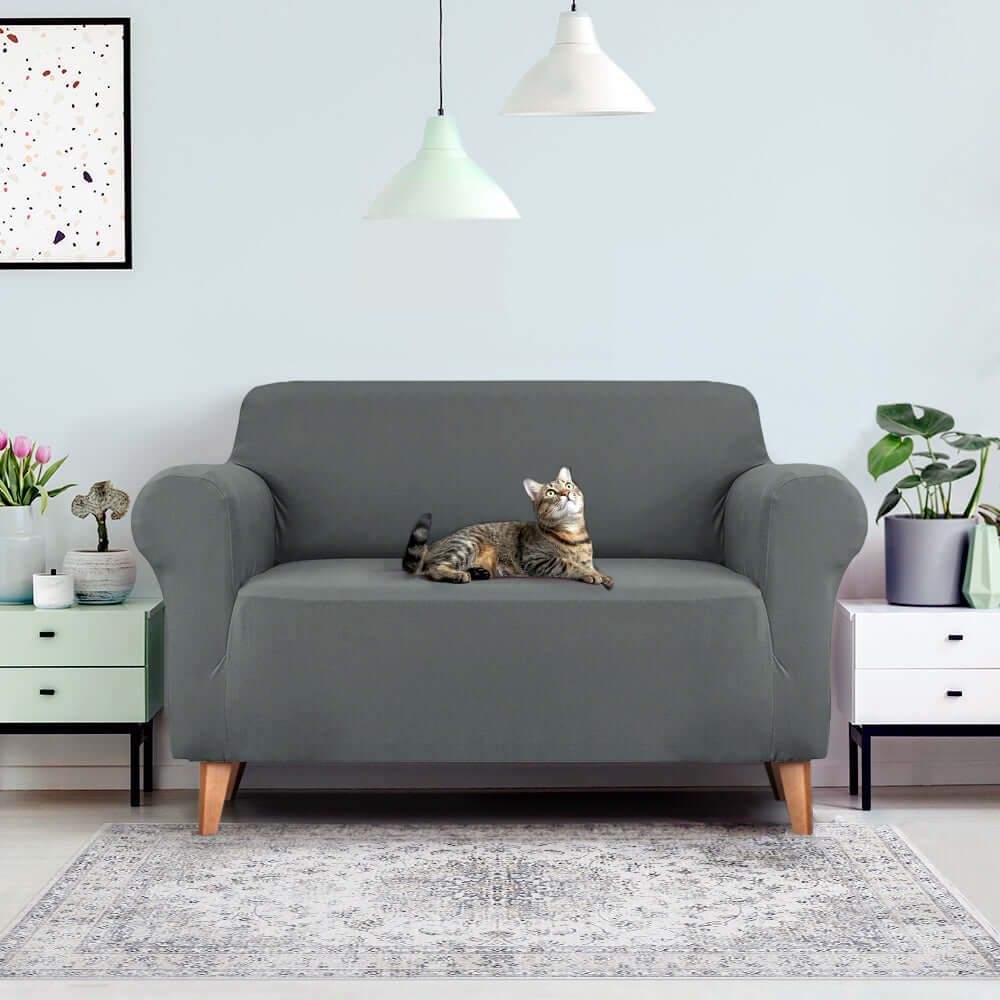 Affordable Artiss 2 Seater Sofa Cover in Stretch Grey with cat lounging in stylish living room.