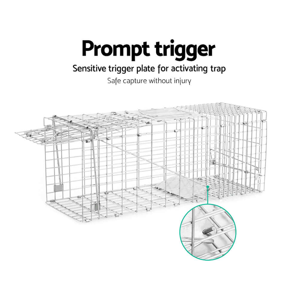 Humane animal trap cage with sensitive trigger plate for safe capture without injury. Affordable DIY solution for pest control.