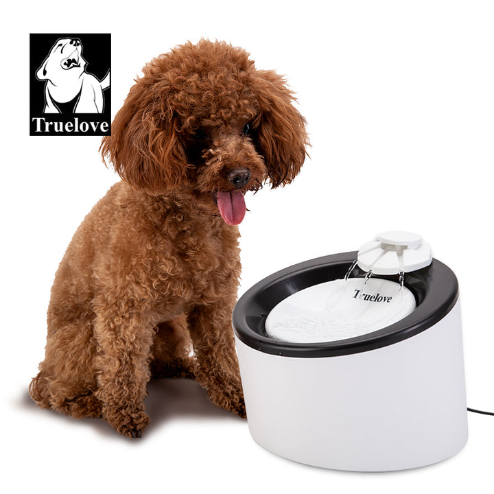 Poodle next to Truelove automatic water dispenser featuring activated carbon filter, suitable for cats and small dogs, affordable and quality product