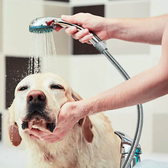 Person bathing a dog with a handheld shower head, showcasing a comfortable and easy washing experience.