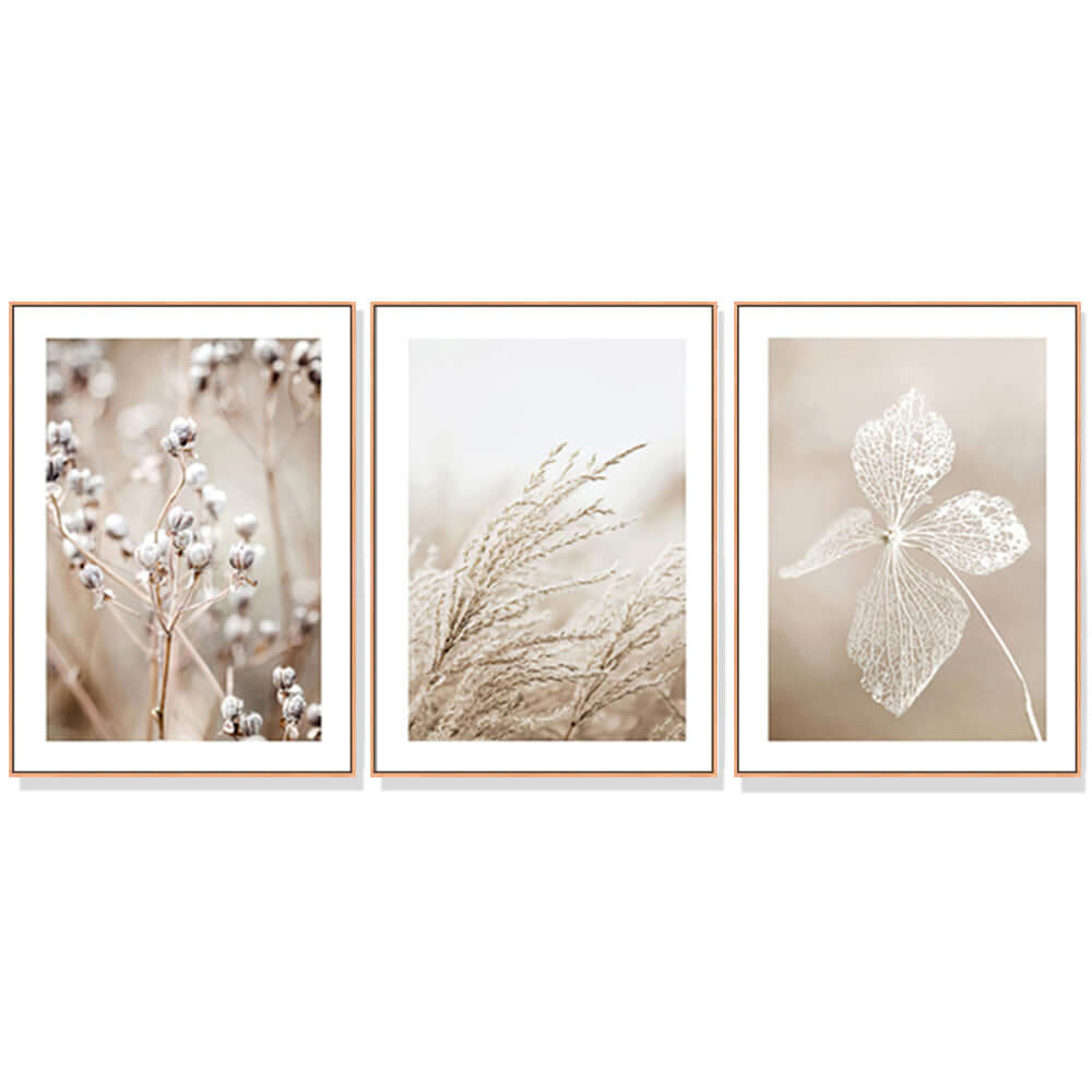 _label_, DSZ Product, feed-cond-new, feed-sl-free shipping, free-shipping, newWall Art 50Cm X 70Cm Dried Flower 3 Sets Wood Frame Canvas - Premium Home & Garden > Wall Art > Posters, Paintings & Prints from Artime ! Shop Online Buy Now at S & D's Value Store Family Business Best Customer Service_label_, DSZ Product, feed-cond-new, feed-sl-free shipping, free-shipping, new