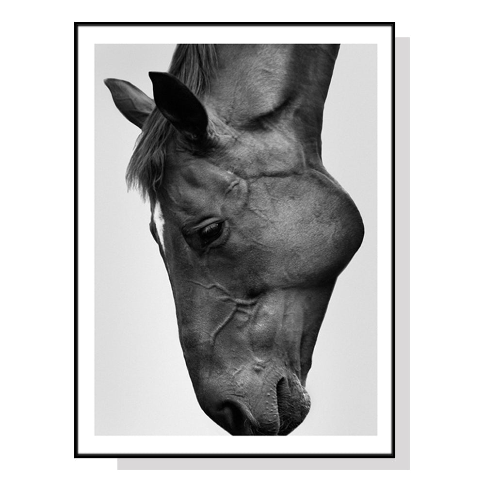 _label_, DSZ Product, feed-cond-new, feed-sl-free shipping, free-shipping, newWall Art 50Cm X 70Cm Modern Black Horse Black Frame Canvas - Premium Home & Garden > Decor > Picture Frames from Artime ! Shop Online Buy Now at S & D's Value Store Family Business Best Customer Service_label_, DSZ Product, feed-cond-new, feed-sl-free shipping, free-shipping, new