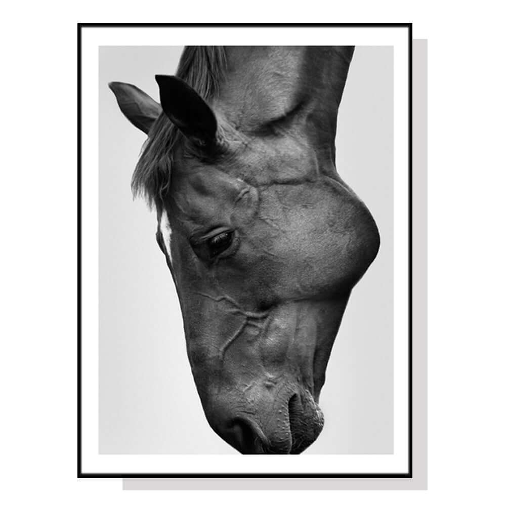 _label_, DSZ Product, feed-cond-new, feed-sl-free shipping, free-shipping, newWall Art 70Cm X 100Cm Modern Black Horse Black Frame Canvas - Premium Home & Garden > Decor > Picture Frames from Artime ! Shop Online Buy Now at S & D's Value Store Family Business Best Customer Service_label_, DSZ Product, feed-cond-new, feed-sl-free shipping, free-shipping, new