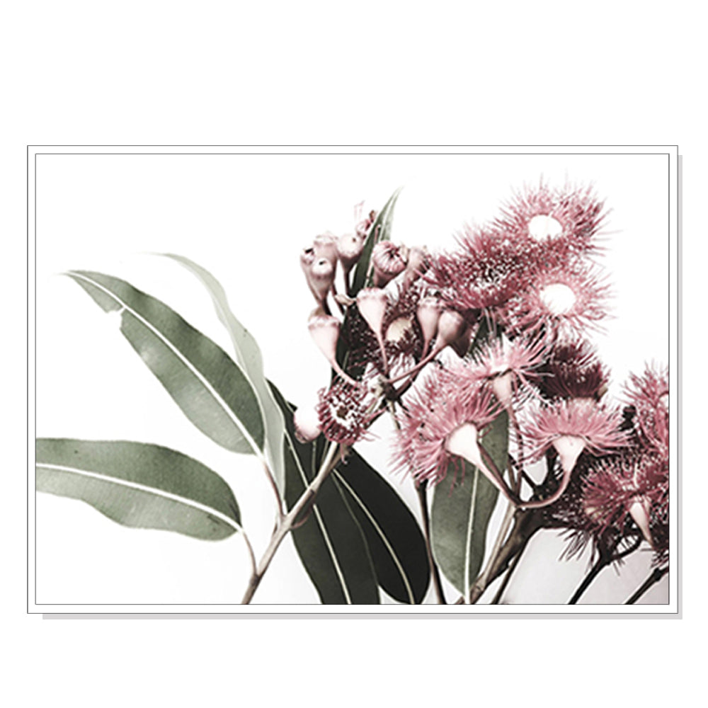 _label_, DSZ Product, feed-cond-new, feed-sl-free shipping, free-shipping, newWall Art 50Cm X 70Cm Eucalyptus In Bloom White Frame Canvas - Premium Home & Garden > Wall Art > Posters, Paintings & Prints from Artime ! Shop Online Buy Now at S & D's Value Store Family Business Best Customer Service_label_, DSZ Product, feed-cond-new, feed-sl-free shipping, free-shipping, new