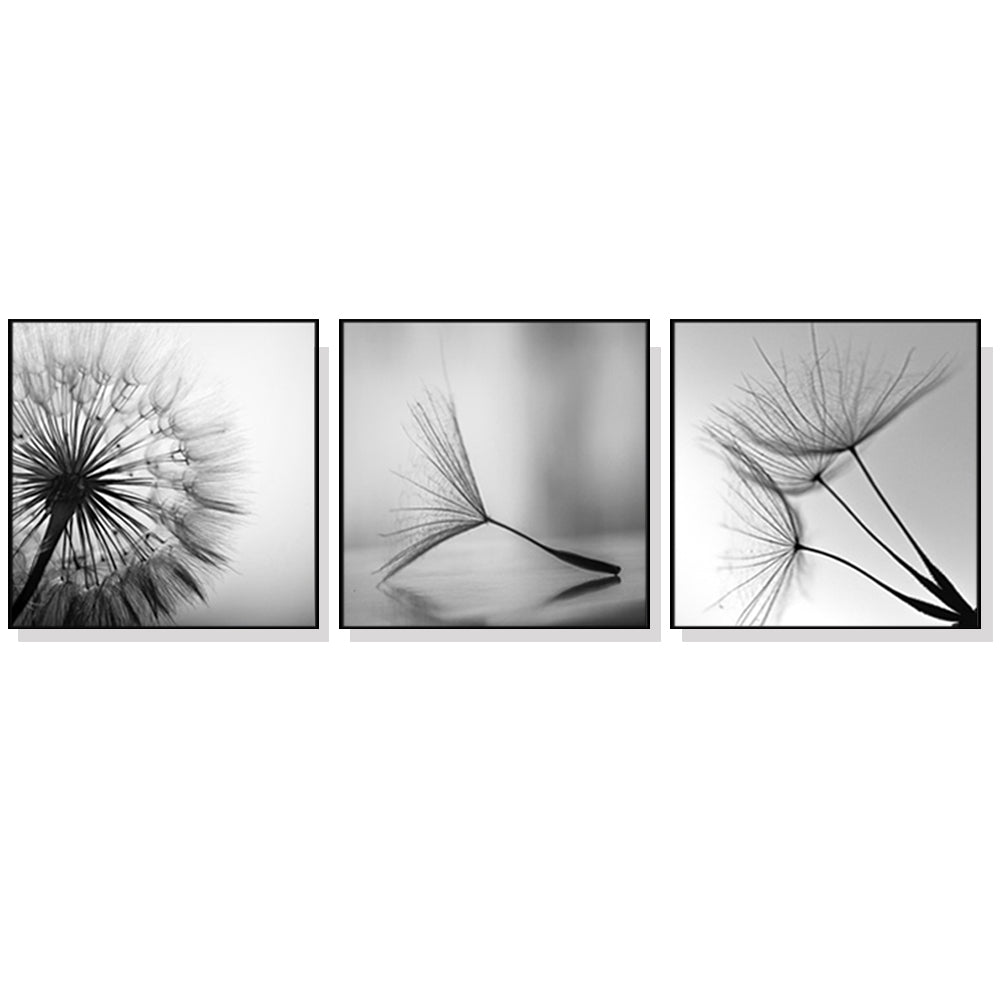 _label_, DSZ Product, feed-cond-new, feed-sl-free shipping, free-shipping, newWall Art 50Cm X 50Cm Botanical Dandelions 3 Sets Black Frame Canvas - Premium Home & Garden > Wall Art > Posters, Paintings & Prints from Artime ! Shop Online Buy Now at S & D's Value Store Family Business Best Customer Service_label_, DSZ Product, feed-cond-new, feed-sl-free shipping, free-shipping, new