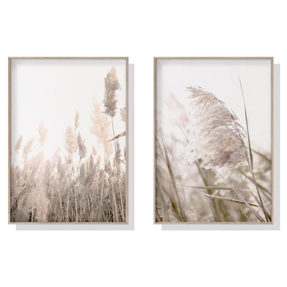 _label_, DSZ Product, feed-cond-new, feed-sl-free shipping, free-shipping, newWall Art 60Cm X 90Cm Pampas Grass 2 Sets Wood Frame Canvas - Premium Home & Garden > Wall Art > Posters, Paintings & Prints from Artime ! Shop Online Buy Now at S & D's Value Store Family Business Best Customer Service_label_, DSZ Product, feed-cond-new, feed-sl-free shipping, free-shipping, new