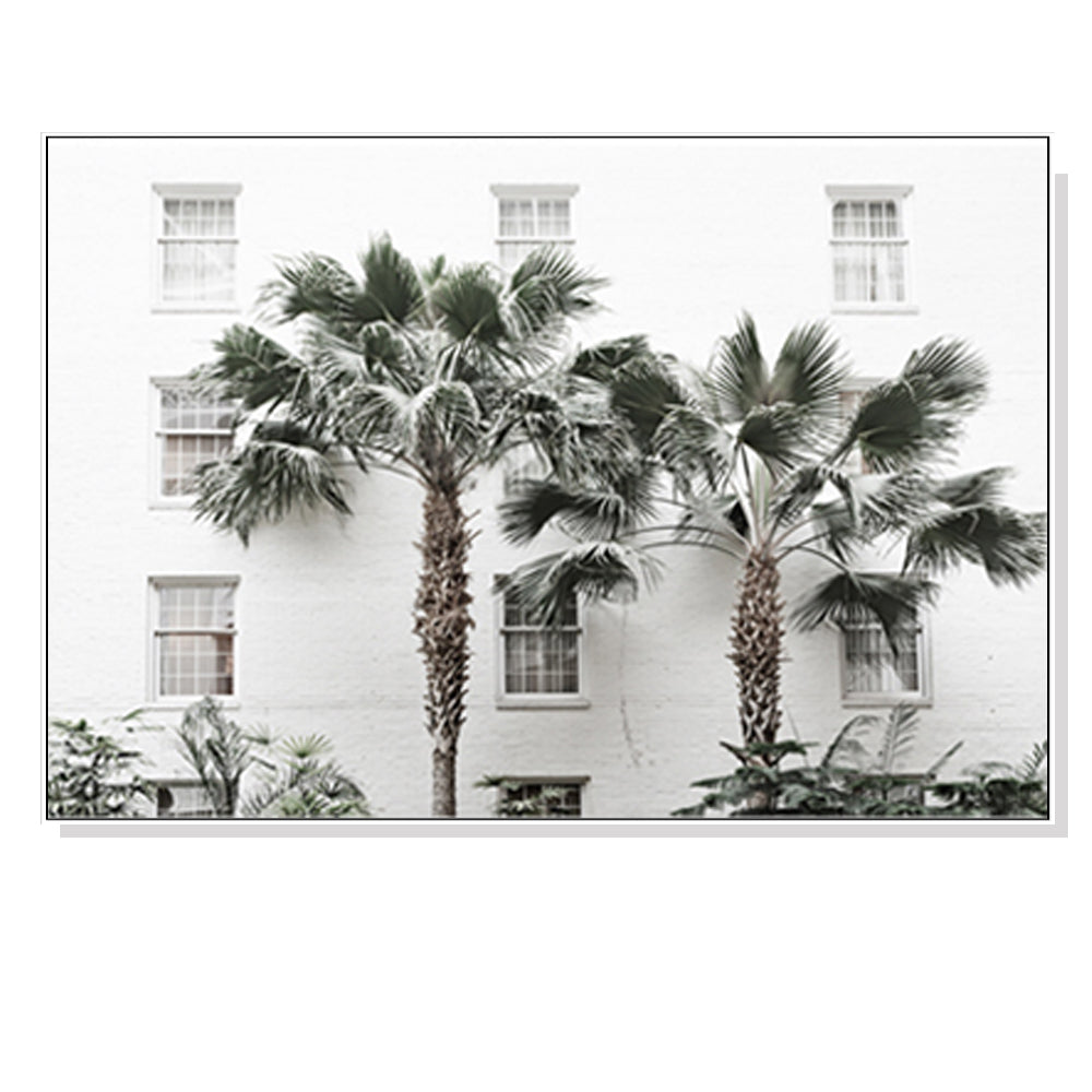 _label_, DSZ Product, feed-cond-new, feed-sl-free shipping, free-shipping, newWall Art 50Cm X 70Cm Palm Tree White Frame Canvas - Premium Home & Garden > Wall Art > Posters, Paintings & Prints from Artime ! Shop Online Buy Now at S & D's Value Store Family Business Best Customer Service_label_, DSZ Product, feed-cond-new, feed-sl-free shipping, free-shipping, new