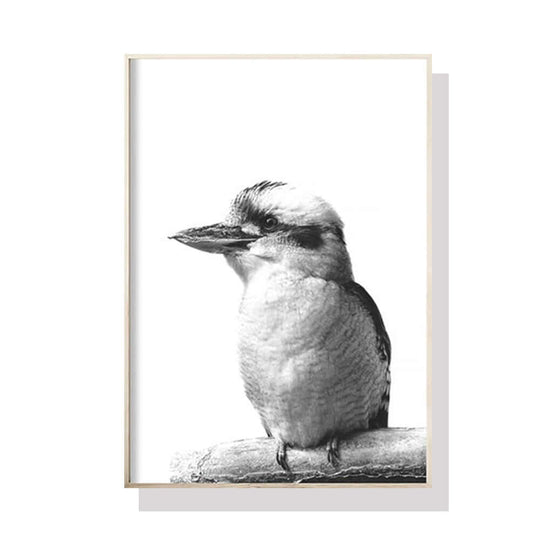 _label_, DSZ Product, feed-cond-new, feed-sl-free shipping, free-shipping, newWall Art 40Cm X 60Cm Kookaburra Black Frame Canvas - Premium Home & Garden > Wall Art > Posters, Paintings & Prints from Artime ! Shop Online Buy Now at S & D's Value Store Family Business Best Customer Service_label_, DSZ Product, feed-cond-new, feed-sl-free shipping, free-shipping, new