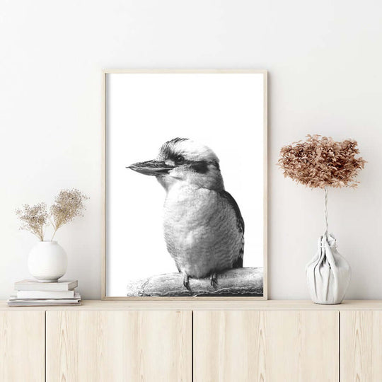 _label_, DSZ Product, feed-cond-new, feed-sl-free shipping, free-shipping, newWall Art 40Cm X 60Cm Kookaburra Black Frame Canvas - Premium Home & Garden > Wall Art > Posters, Paintings & Prints from Artime ! Shop Online Buy Now at S & D's Value Store Family Business Best Customer Service_label_, DSZ Product, feed-cond-new, feed-sl-free shipping, free-shipping, new