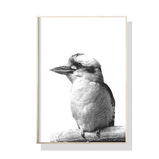 _label_, DSZ Product, feed-cond-new, feed-sl-free shipping, free-shipping, newWall Art 80Cm X 120Cm Kookaburra Black Frame Canvas - Premium Home & Garden > Wall Art > Posters, Paintings & Prints from Artime ! Shop Online Buy Now at S & D's Value Store Family Business Best Customer Service_label_, DSZ Product, feed-cond-new, feed-sl-free shipping, free-shipping, new