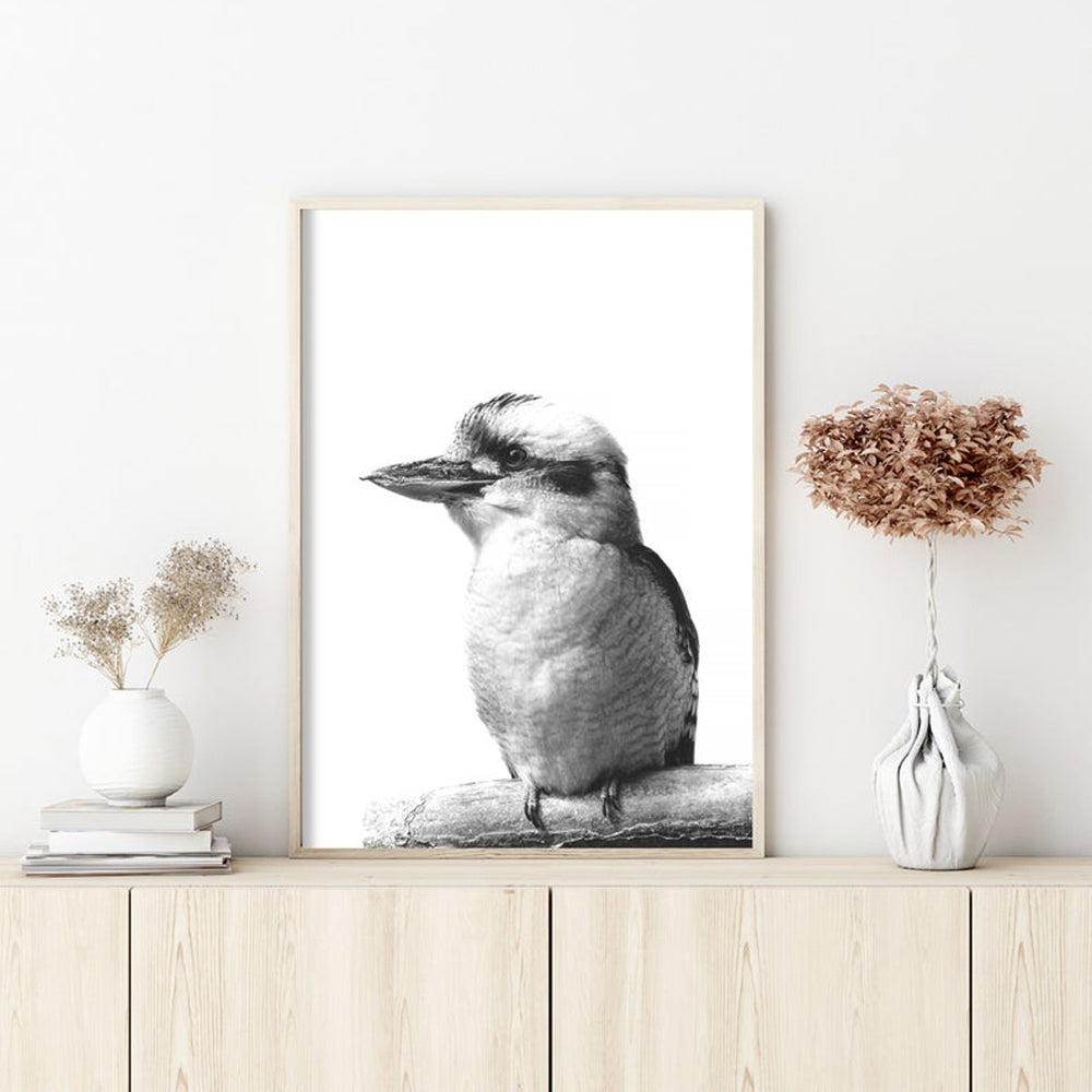 _label_, DSZ Product, feed-cond-new, feed-sl-free shipping, free-shipping, newWall Art 80Cm X 120Cm Kookaburra Black Frame Canvas - Premium Home & Garden > Wall Art > Posters, Paintings & Prints from Artime ! Shop Online Buy Now at S & D's Value Store Family Business Best Customer Service_label_, DSZ Product, feed-cond-new, feed-sl-free shipping, free-shipping, new