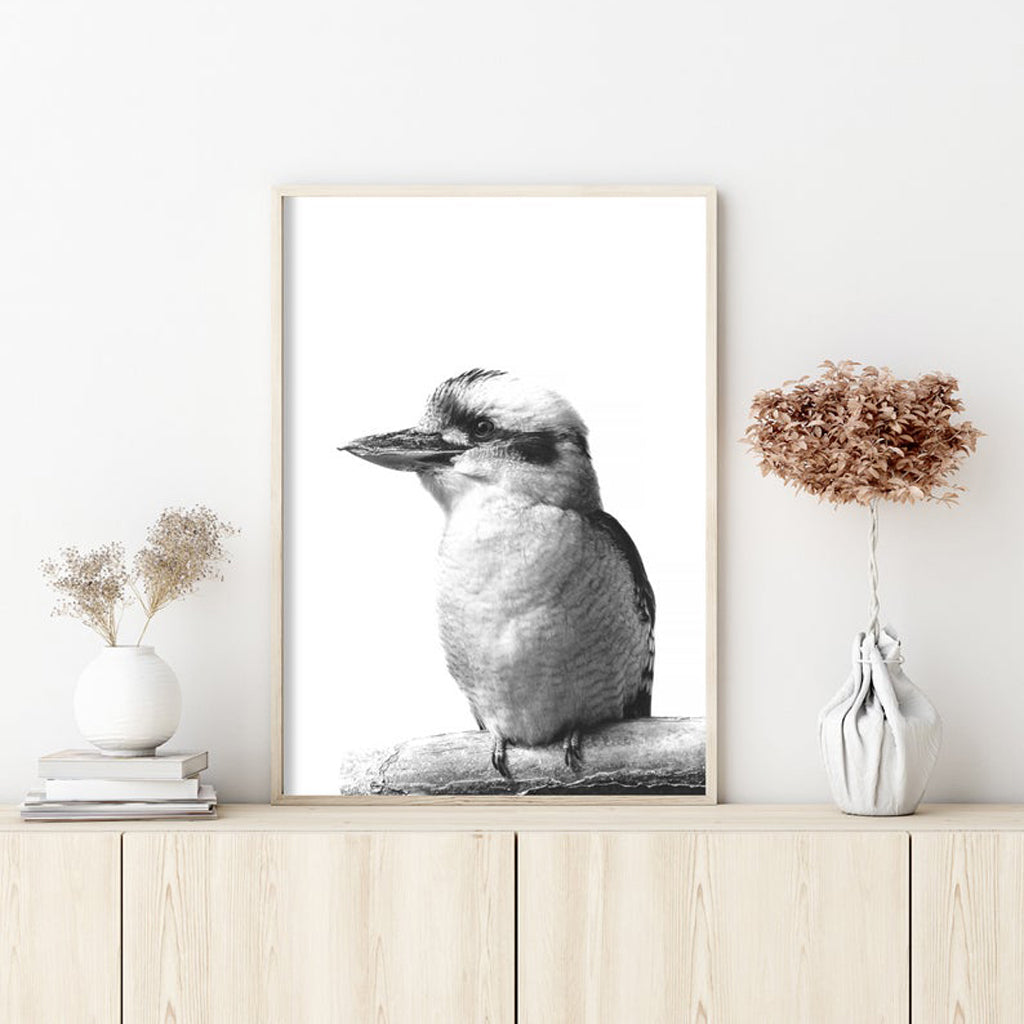 _label_, DSZ Product, feed-cond-new, feed-sl-free shipping, free-shipping, newWall Art 50Cm X 70Cm Kookaburra Black Frame Canvas - Premium Home & Garden > Wall Art > Posters, Paintings & Prints from Artime ! Shop Online Buy Now at S & D's Value Store Family Business Best Customer Service_label_, DSZ Product, feed-cond-new, feed-sl-free shipping, free-shipping, new