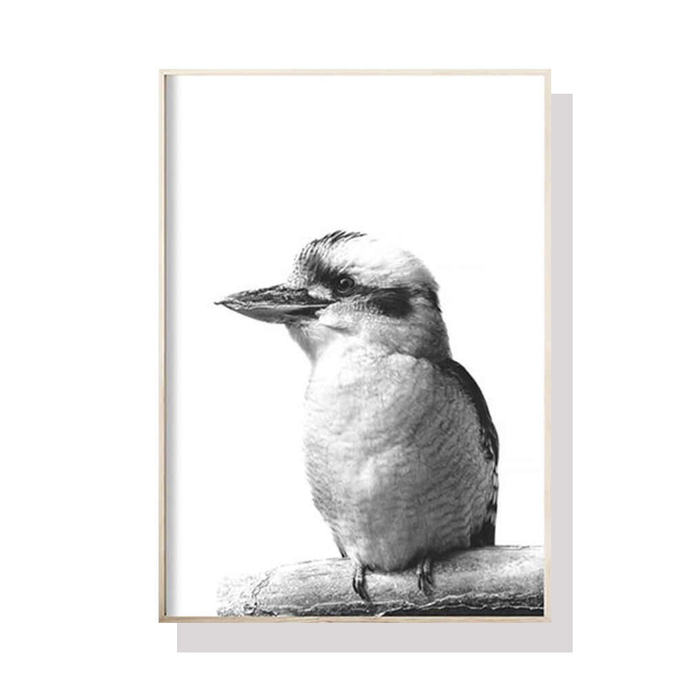 _label_, DSZ Product, feed-cond-new, feed-sl-free shipping, free-shipping, newWall Art 60Cm X 90Cm Kookaburra Black Frame Canvas - Premium Home & Garden > Wall Art > Posters, Paintings & Prints from Artime ! Shop Online Buy Now at S & D's Value Store Family Business Best Customer Service_label_, DSZ Product, feed-cond-new, feed-sl-free shipping, free-shipping, new