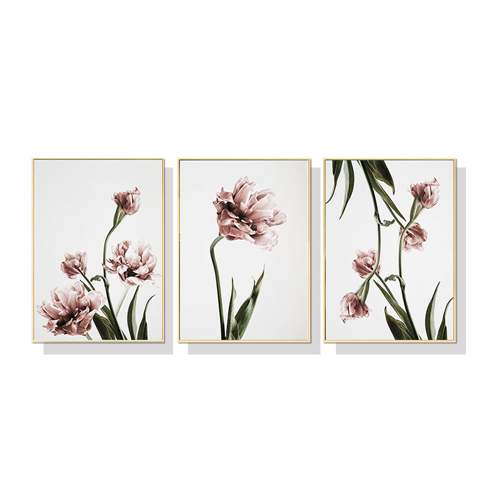 _label_, DSZ Product, feed-cond-new, feed-sl-free shipping, free-shipping, newWall Art 70Cm X 100Cm Tulip Flower 3 Sets Gold Frame Canvas - Premium Home & Garden > Wall Art > Posters, Paintings & Prints from Artime ! Shop Online Buy Now at S & D's Value Store Family Business Best Customer Service_label_, DSZ Product, feed-cond-new, feed-sl-free shipping, free-shipping, new