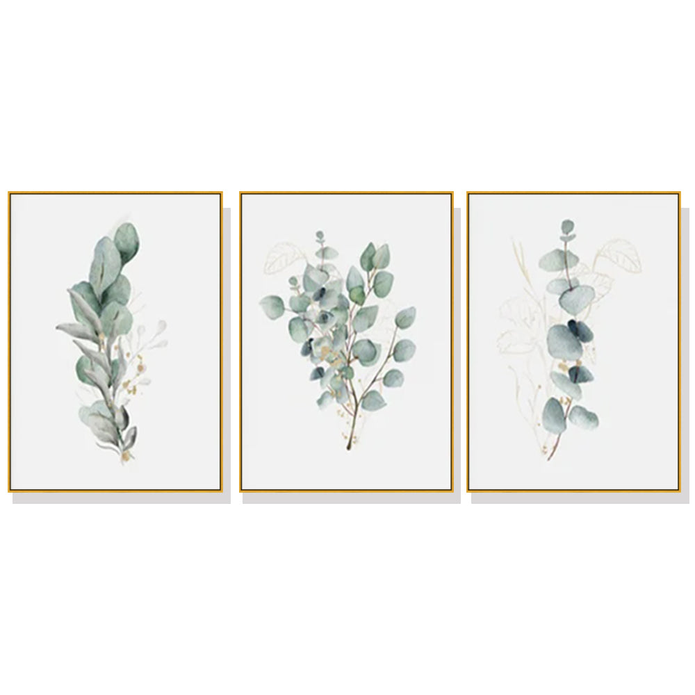 _label_, DSZ Product, feed-cond-new, feed-sl-free shipping, free-shipping, newWall Art 50Cm X 70Cm Eucalyptus Plant 3 Sets Gold Frame Canvas - Premium Home & Garden > Wall Art > Posters, Paintings & Prints from Artime ! Shop Online Buy Now at S & D's Value Store Family Business Best Customer Service_label_, DSZ Product, feed-cond-new, feed-sl-free shipping, free-shipping, new