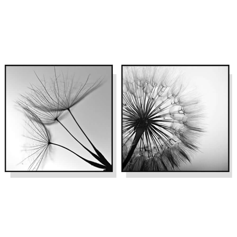 _label_, DSZ Product, feed-cond-new, feed-sl-free shipping, free-shipping, newWall Art 40Cm X 40Cm Black And White Dandelion 2 Sets Black Frame Canvas - Premium Home & Garden > Wall Art > Posters, Paintings & Prints from Artime ! Shop Online Buy Now at S & D's Value Store Family Business Best Customer Service_label_, DSZ Product, feed-cond-new, feed-sl-free shipping, free-shipping, new