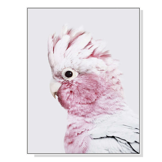 _label_, DSZ Product, feed-cond-new, feed-sl-free shipping, free-shipping, newWall Art 50Cm X 70Cm Pink Galah White Frame Canvas - Premium Home & Garden > Wall Art > Posters, Paintings & Prints from Artime ! Shop Online Buy Now at S & D's Value Store Family Business Best Customer Service_label_, DSZ Product, feed-cond-new, feed-sl-free shipping, free-shipping, new