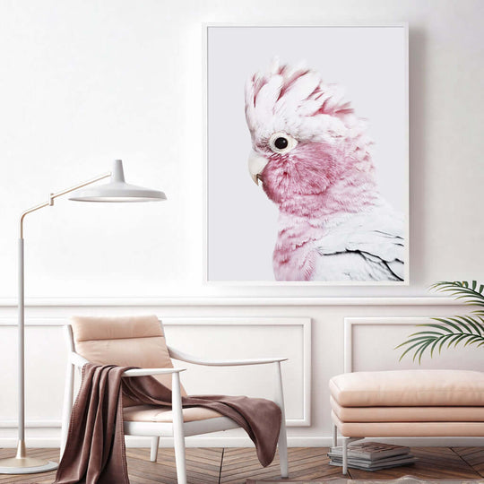 _label_, DSZ Product, feed-cond-new, feed-sl-free shipping, free-shipping, newWall Art 50Cm X 70Cm Pink Galah White Frame Canvas - Premium Home & Garden > Wall Art > Posters, Paintings & Prints from Artime ! Shop Online Buy Now at S & D's Value Store Family Business Best Customer Service_label_, DSZ Product, feed-cond-new, feed-sl-free shipping, free-shipping, new