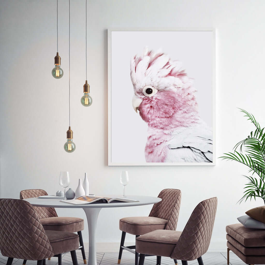 _label_, DSZ Product, feed-cond-new, feed-sl-free shipping, free-shipping, newWall Art 50Cm X 70Cm Pink Galah White Frame Canvas - Premium Home & Garden > Wall Art > Posters, Paintings & Prints from Artime ! Shop Online Buy Now at S & D's Value Store Family Business Best Customer Service_label_, DSZ Product, feed-cond-new, feed-sl-free shipping, free-shipping, new