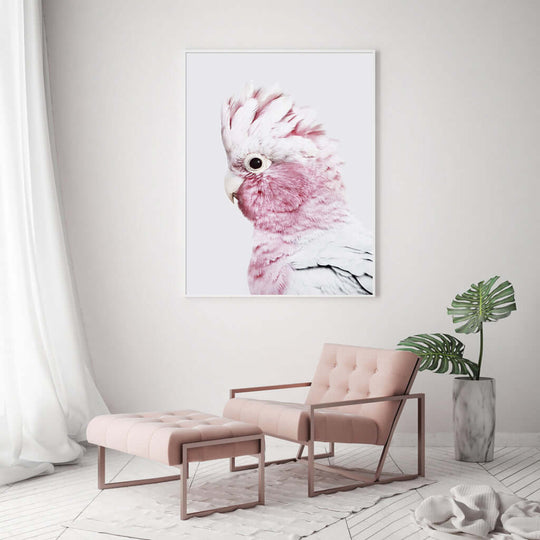 _label_, DSZ Product, feed-cond-new, feed-sl-free shipping, free-shipping, newWall Art 50Cm X 70Cm Pink Galah White Frame Canvas - Premium Home & Garden > Wall Art > Posters, Paintings & Prints from Artime ! Shop Online Buy Now at S & D's Value Store Family Business Best Customer Service_label_, DSZ Product, feed-cond-new, feed-sl-free shipping, free-shipping, new