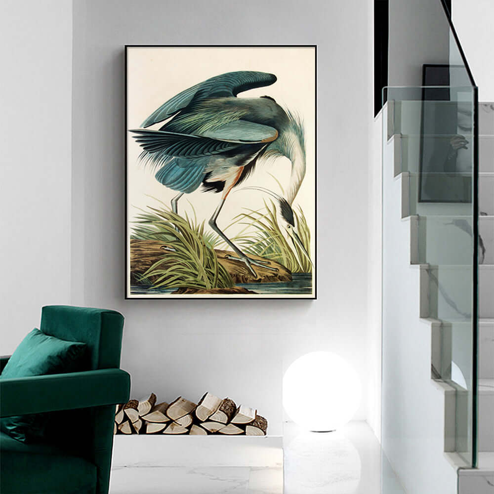 _label_, DSZ Product, feed-cond-new, feed-sl-free shipping, free-shipping, newWall Art 50Cm X 70Cm Great Blue Heron By John James Audubon Black Frame Canvas - Premium Home & Garden > Wall Art > 3D Wall Art from Artime ! Shop Online Buy Now at S & D's Value Store Family Business Best Customer Service_label_, DSZ Product, feed-cond-new, feed-sl-free shipping, free-shipping, new