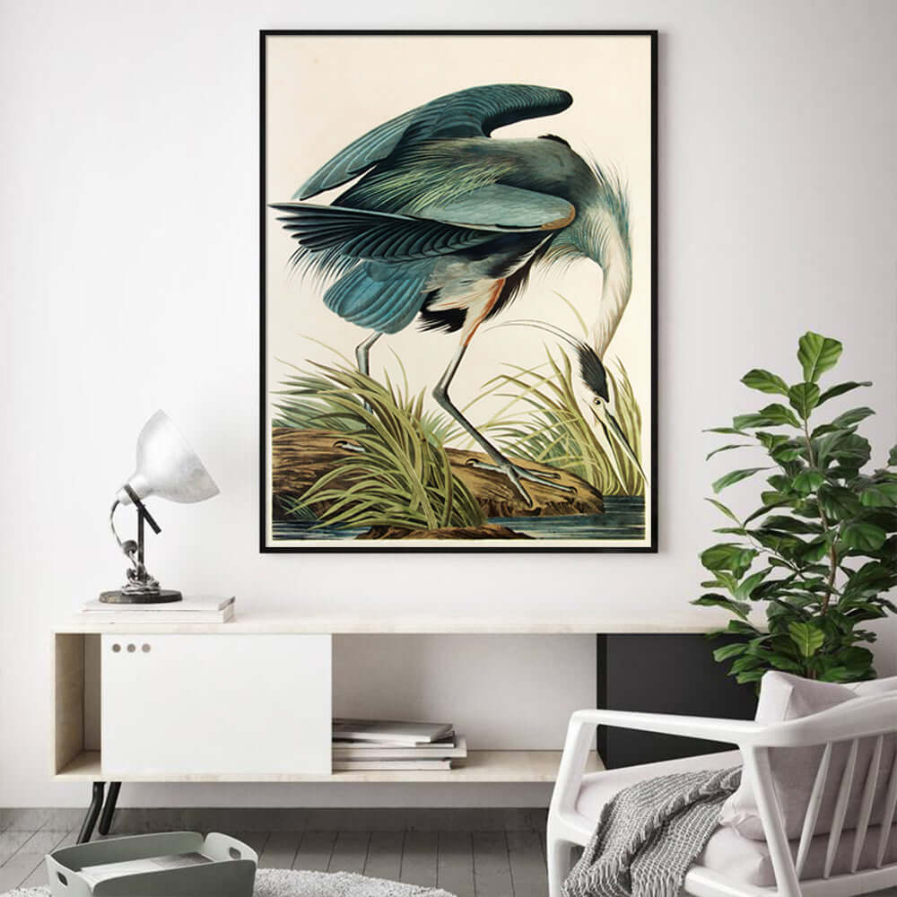 _label_, DSZ Product, feed-cond-new, feed-sl-free shipping, free-shipping, newWall Art 50Cm X 70Cm Great Blue Heron By John James Audubon Black Frame Canvas - Premium Home & Garden > Wall Art > 3D Wall Art from Artime ! Shop Online Buy Now at S & D's Value Store Family Business Best Customer Service_label_, DSZ Product, feed-cond-new, feed-sl-free shipping, free-shipping, new